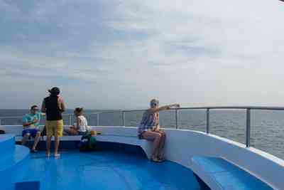 Andaman wave master