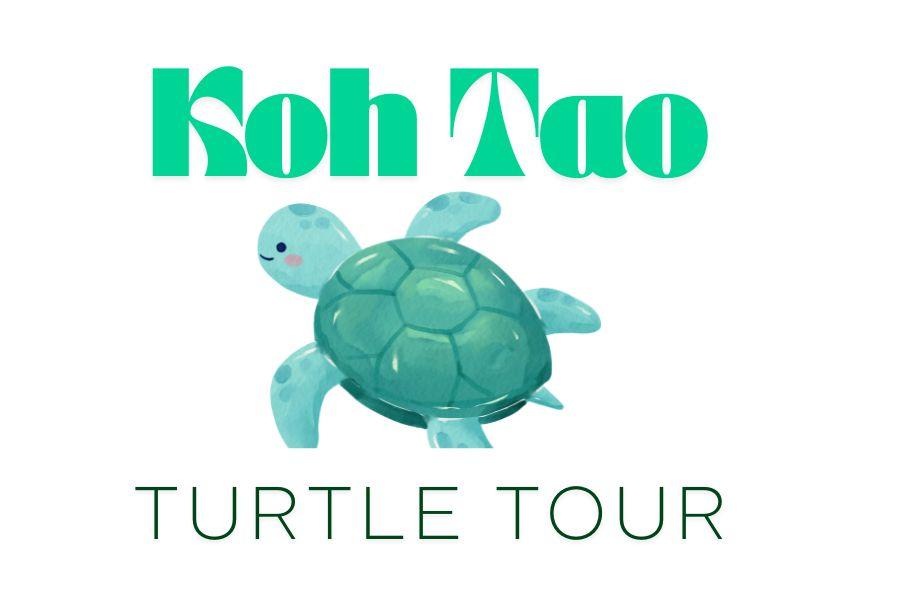 Turtle tour logo