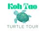 Turtle tour