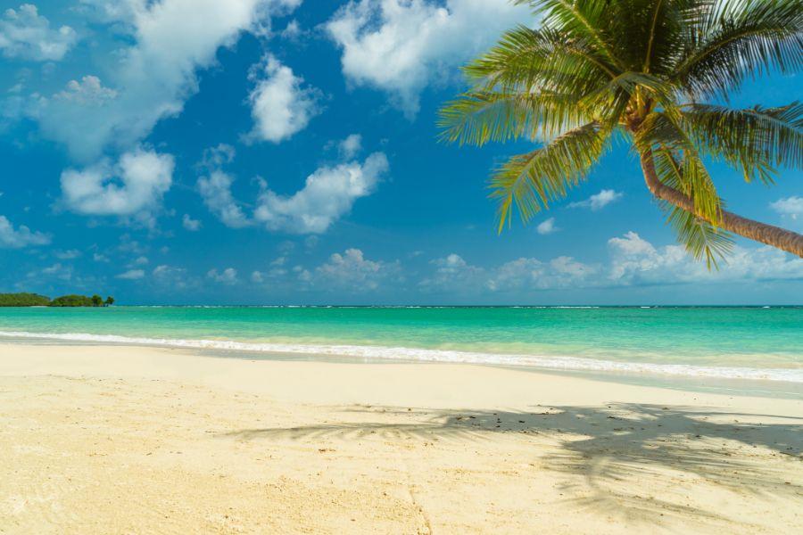 SmartEnPlus Blog: How to Get from Bangkok to Koh Samui (2025 Guide)