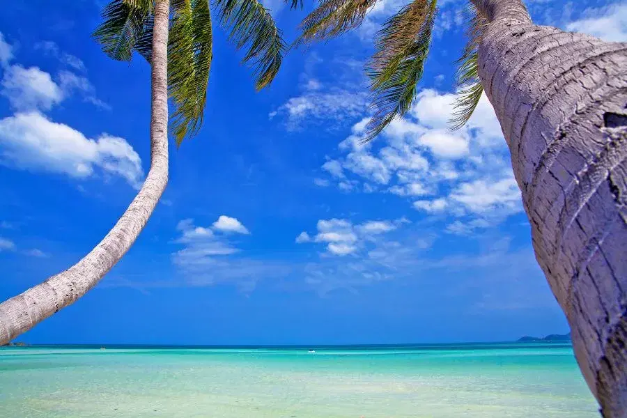 SmartEnPlus Blog: Travel from Ao nang to Koh Samui
