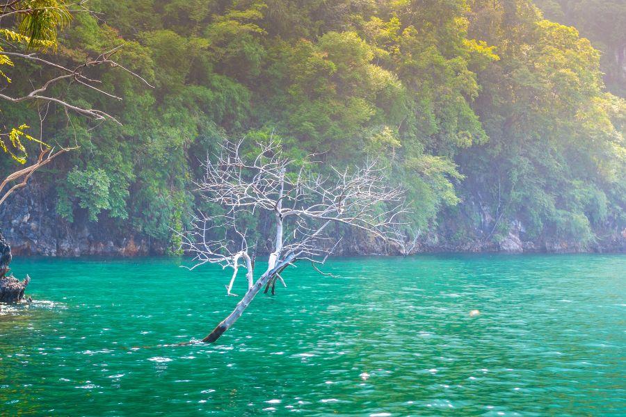 SmartEnPlus Blog: Review : Travel Guide Koh Lipe to Surat thani by Kanab naam Tour