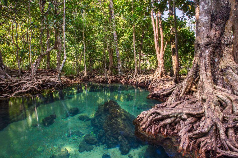 Night Travel from Phuket to Krabi: What to Expect and Safety Tips