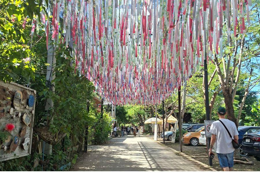 SmartEnPlus Blog: Top 5 Tips for First-Time Travelers Going from Chiang Rai to Chiang Mai