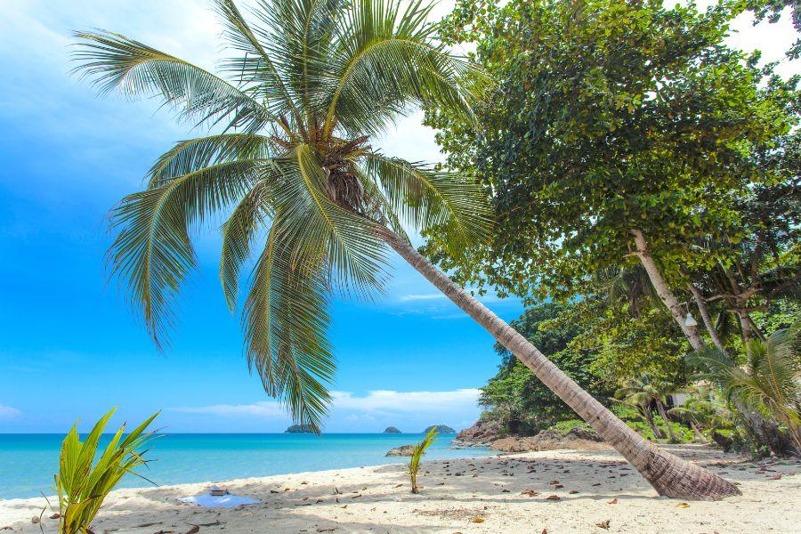 Bangkok to Koh Chang Bus and Ferry Guide