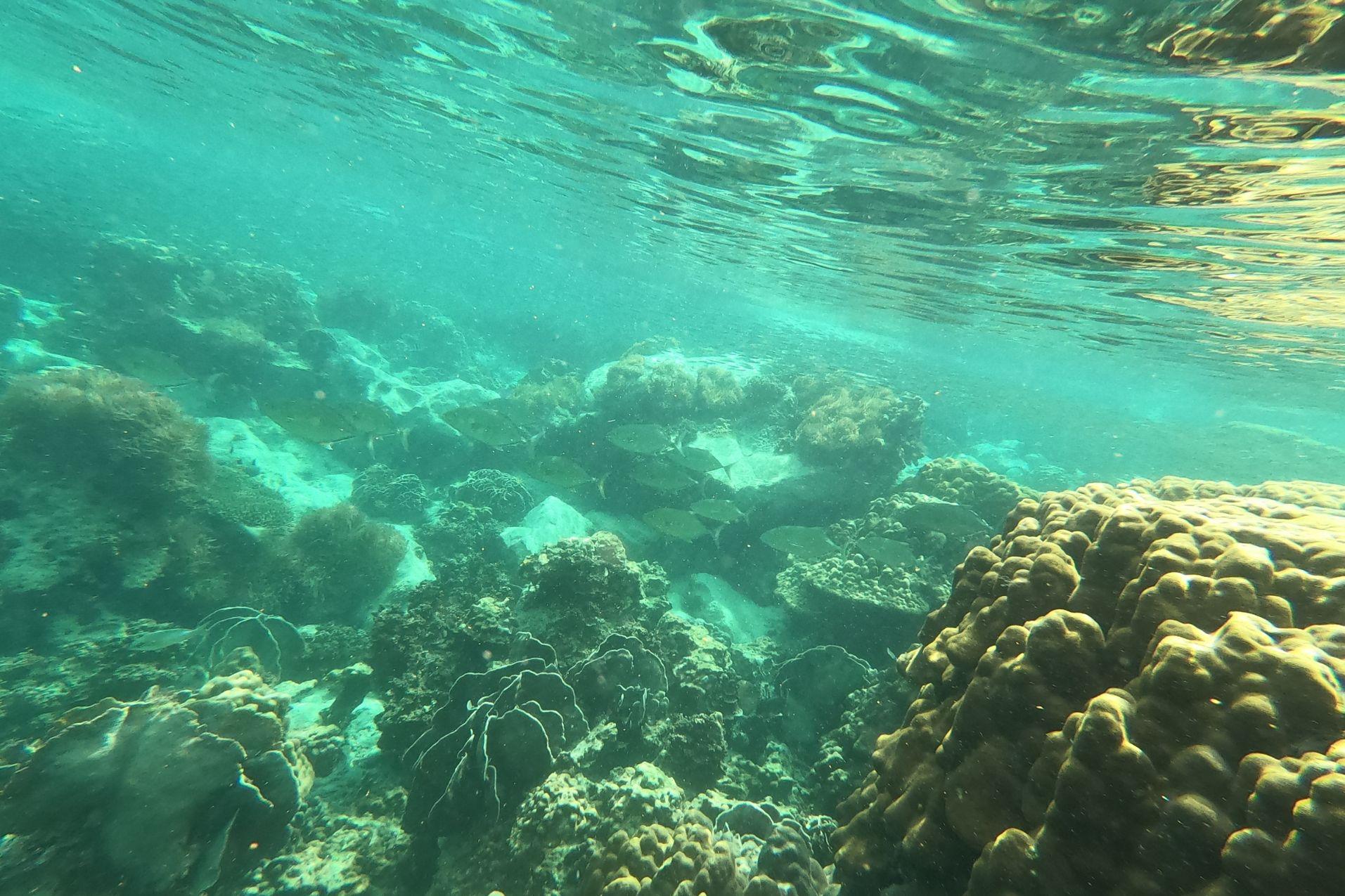 Koh Chang :Private Day Tour 4 Island Snorkeling 10 Person Type D photo 4