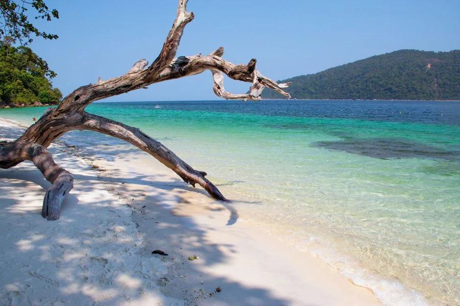 Koh Lipe: Longtail Boat Snorkeling Program A photo 3