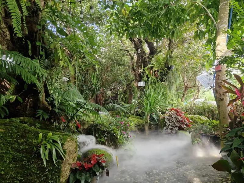 Chiang Rai Airport Highlights and Cafe with Chiang Mai Hotel Drop-off