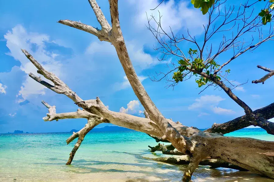 Transportation Guide: Trang to Krabi