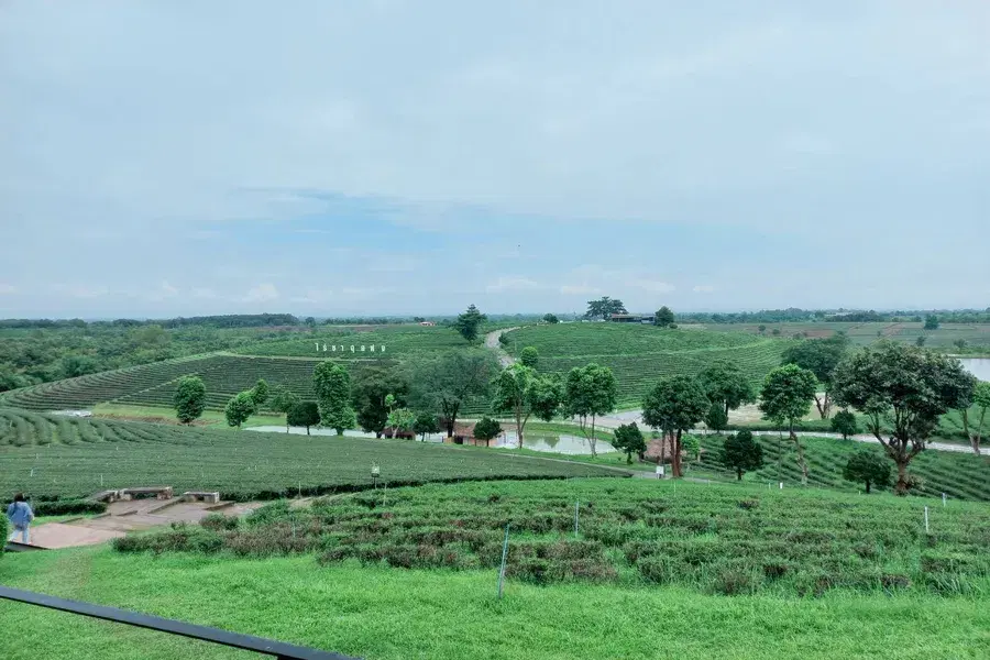 SmartEnPlus Blog: Top Scenic Stops on the Road from Chiang Rai to Chiang Saen