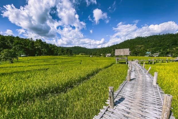 SmartEnPlus Blog: Top 5 Reasons to Take the Road Trip from Chiang Mai to Pai