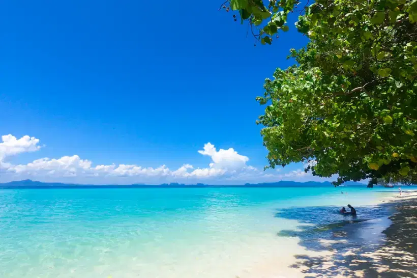 Updated Private Transfer Service: Khao Sok to Koh Kradan
