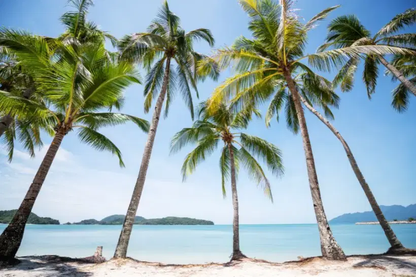 Krabi to Phuket Travel Guide: Transportation Options Explained