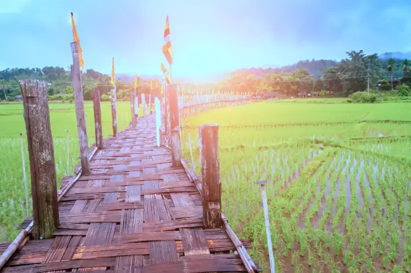 How to get from Chiang Mai to Pai