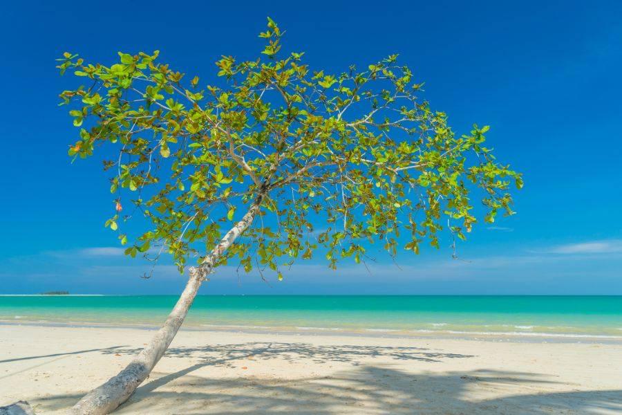 How to get from Krabi to Khao Lak