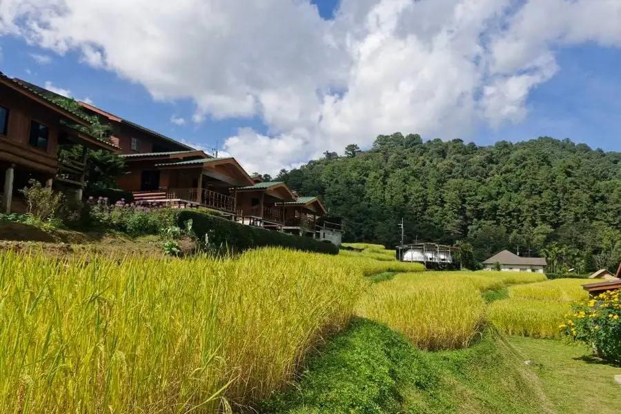 Phitsanulok to Chiang Mai Day Trips: How to Maximize Your Travel Time