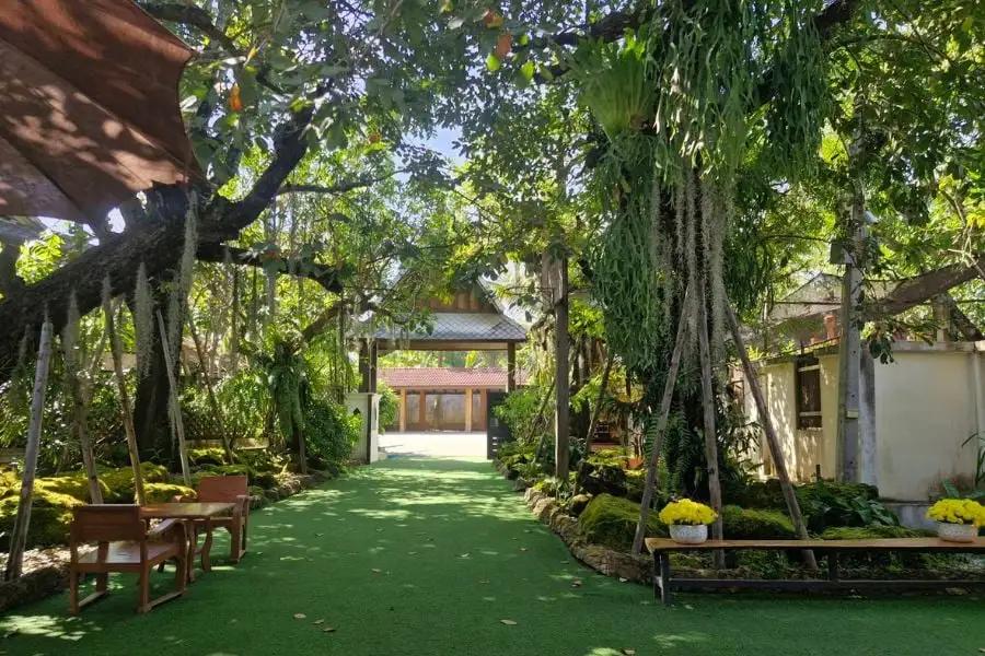 Seasonal Travel Guide: Best Times to Travel from Phitsanulok to Chiang Mai and What to Expect