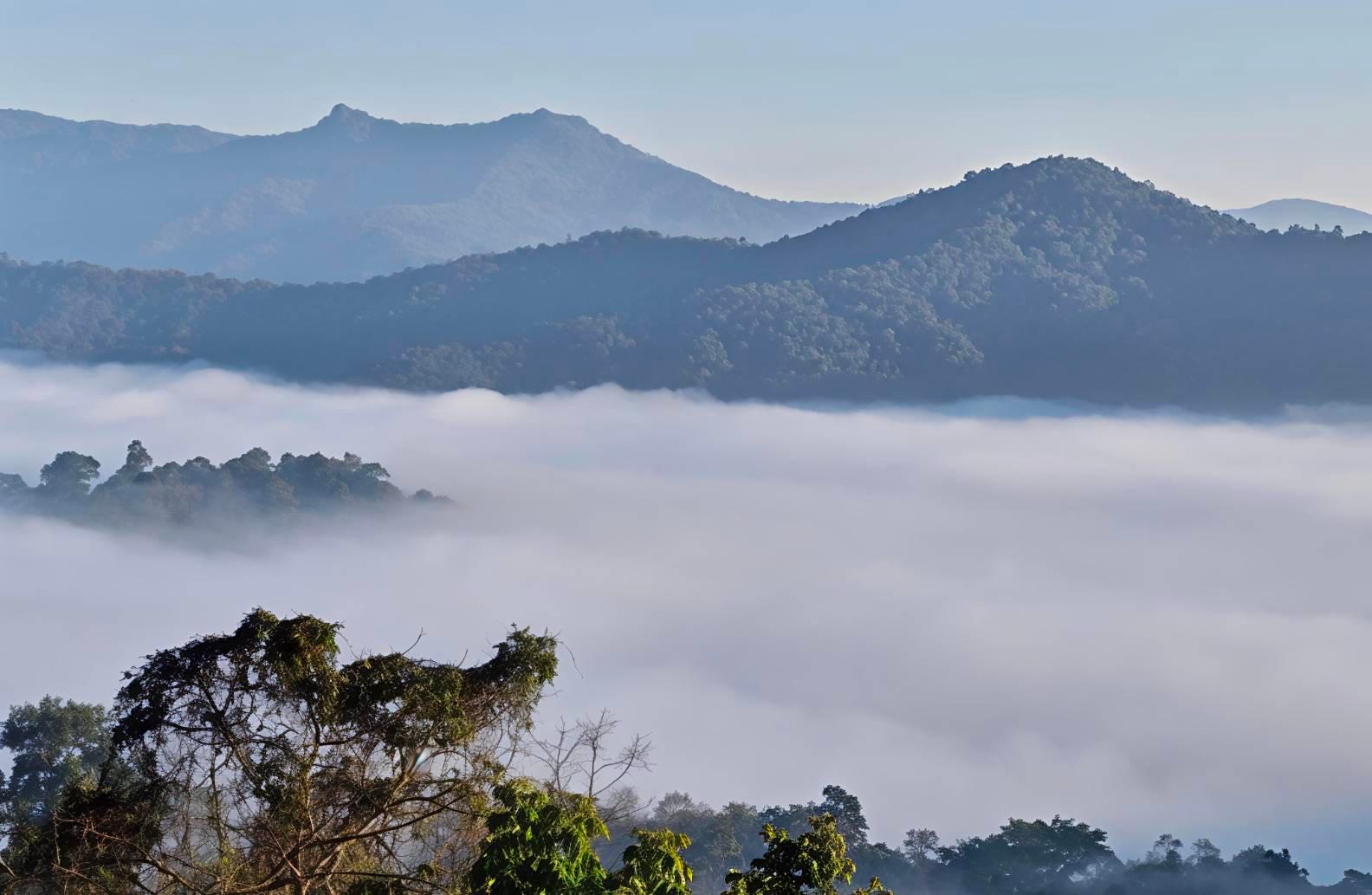 How Smoky Is Chiang Mai in March? Real Traveler Guide