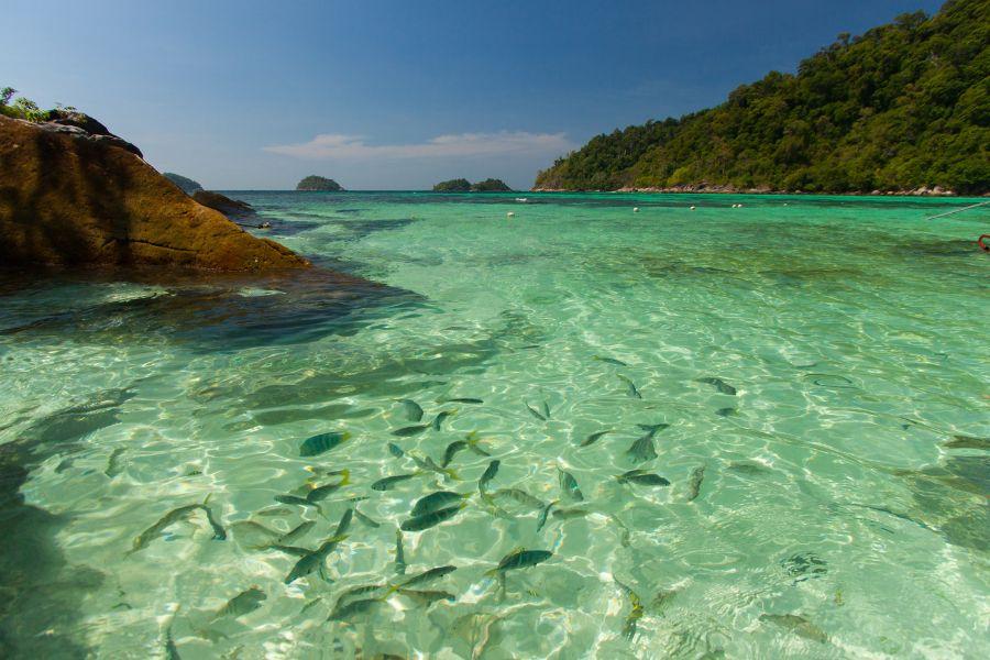 SmartEnPlus Blog: What to Check Before Booking a Resort on Koh Lipe