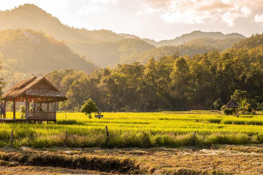 Northern Thailand Travel Costs in 2026: Full Breakdown